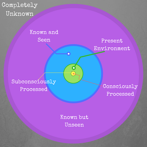 Consciously Processed Limitations (1)